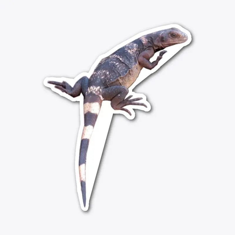 Lizard Sticker