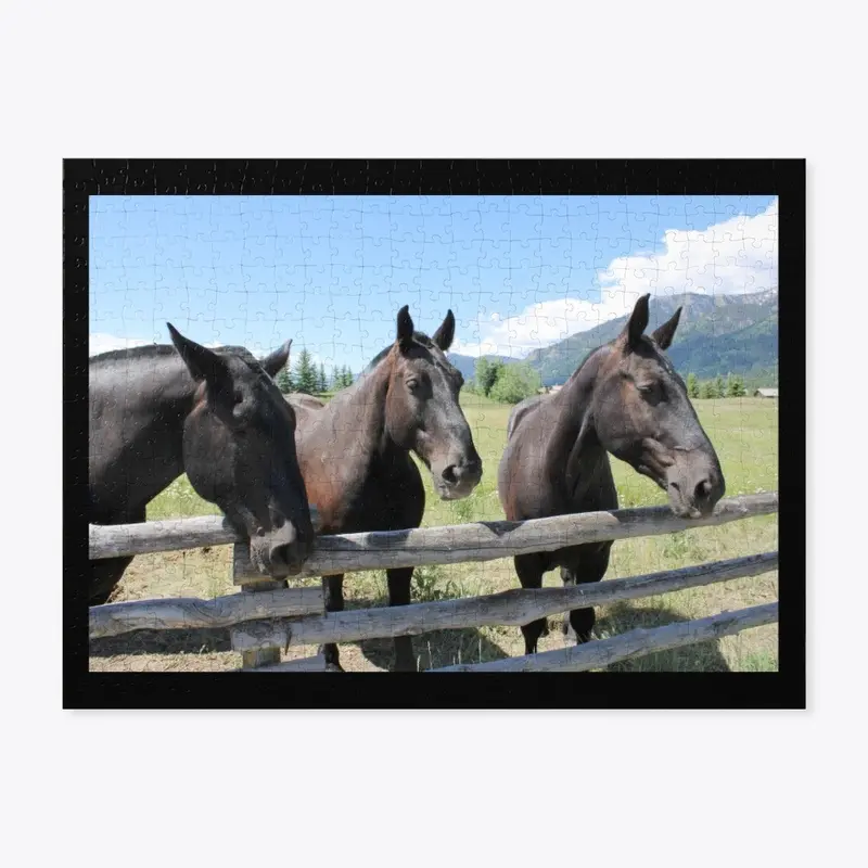 Horses Jackson Hole, Wyoming 